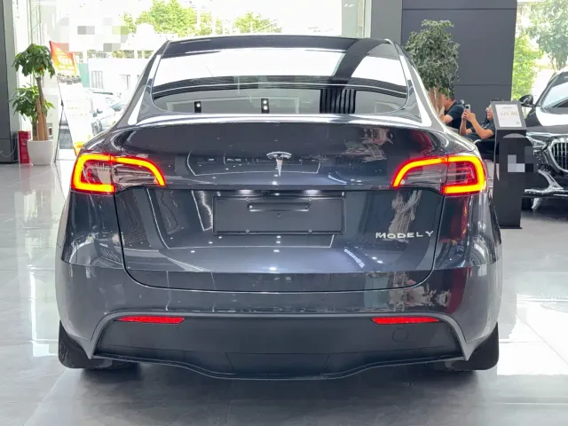 Tesla Model Y — Фото автомобиля 9