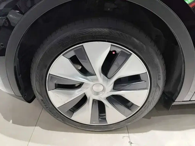 Tesla Model Y — Фото автомобиля 22