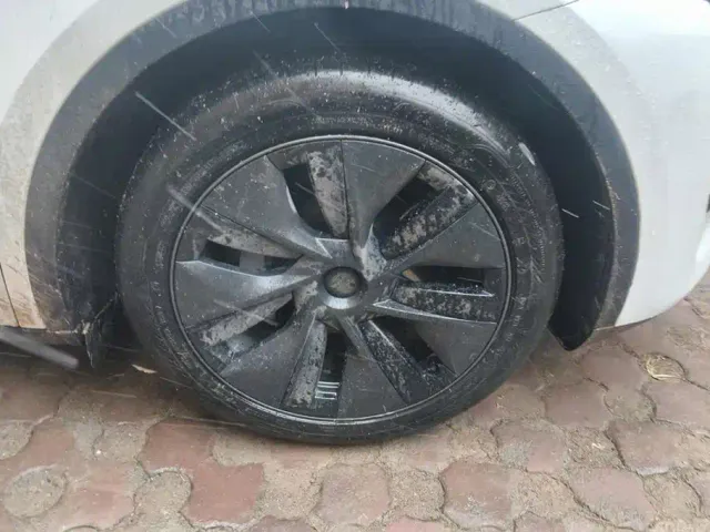 Tesla Model Y — Фото автомобиля 6