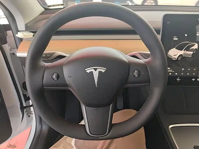 Tesla Model Y — Фото автомобиля 10