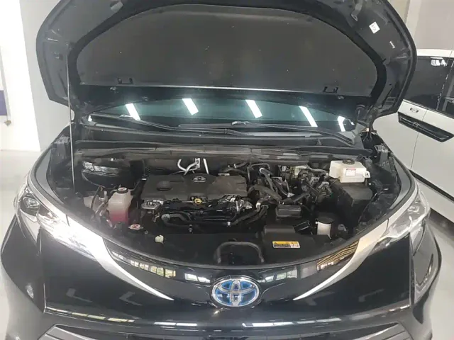 Toyota Sienna — Фото автомобиля 19