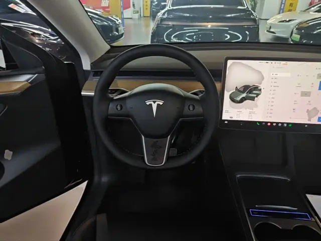 Tesla Model Y — Фото автомобиля 10