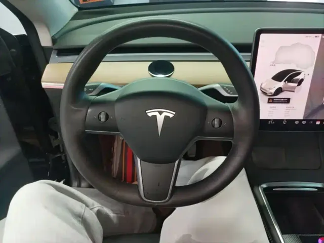 Tesla Model Y — Фото автомобиля 10
