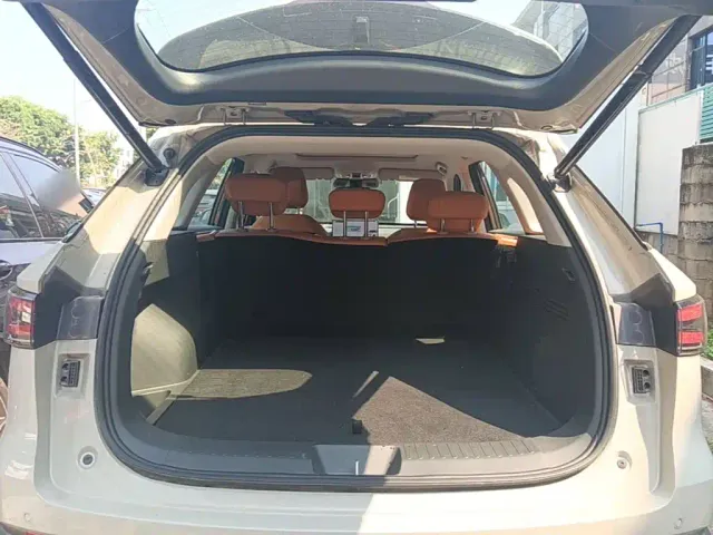 Haval Xiaolong MAX — Фото автомобиля 18