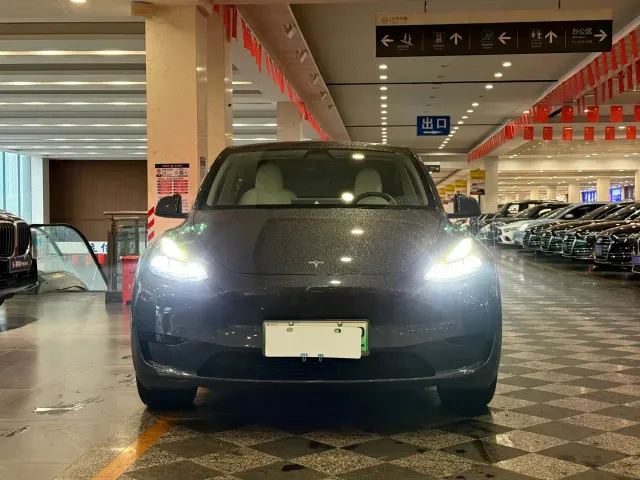 Tesla Model Y — Фото автомобиля 2