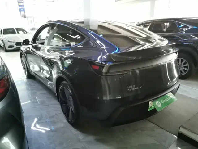 Tesla Model Y — Фото автомобиля 4