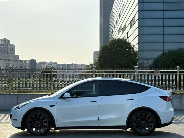 Tesla Model Y — Фото автомобиля 3