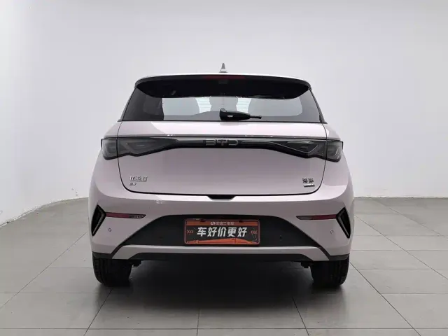 BYD Dolphin — Фото автомобиля 4