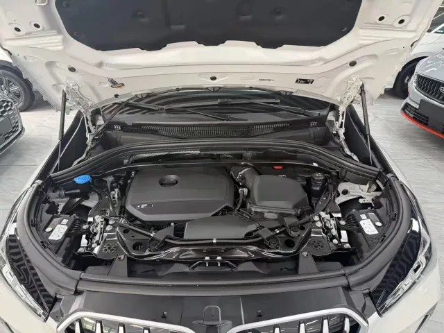 BMW X1 — Фото автомобиля 9