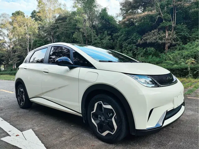 BYD Dolphin — Фото автомобиля 3