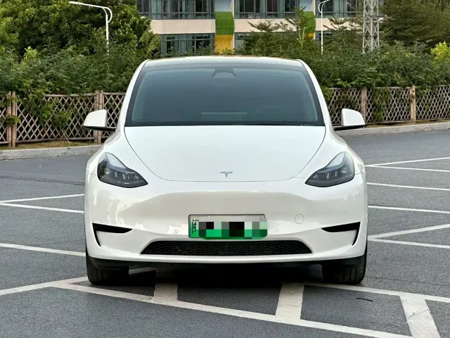 Tesla Model Y — Фото автомобиля 2