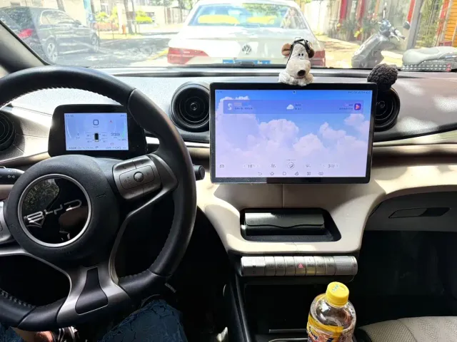 BYD Dolphin — Фото автомобиля 20