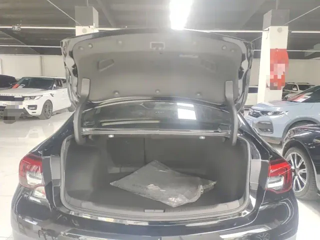 Buick Regal — Фото автомобиля 18