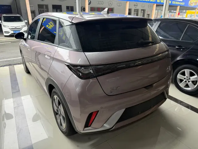 BYD Dolphin — Фото автомобиля 6