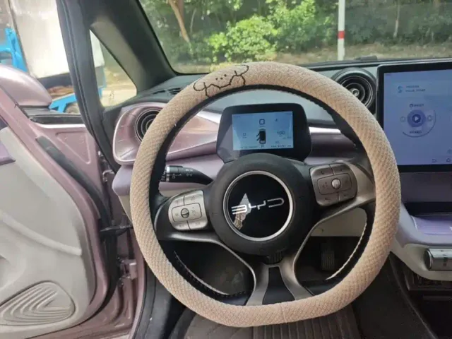 BYD Dolphin — Фото автомобиля 12
