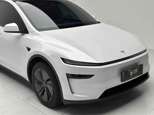 Tesla Model Y — Фото автомобиля 19