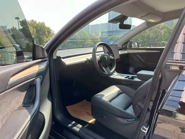 Tesla Model Y — Фото автомобиля 13