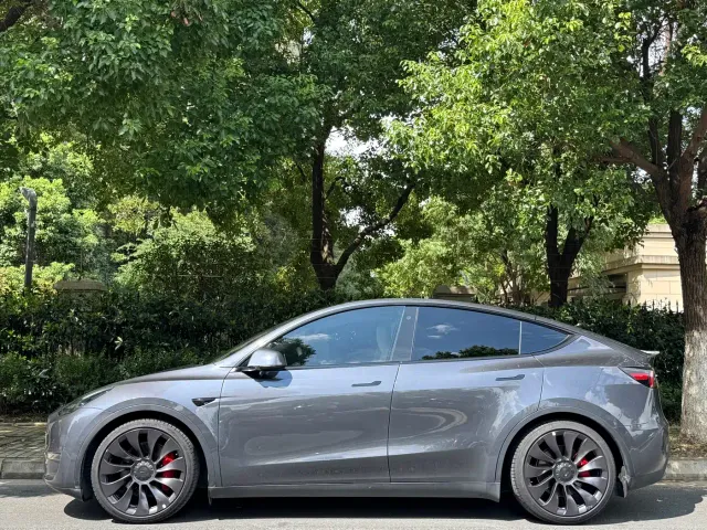 Tesla Model Y — Фото автомобиля 3