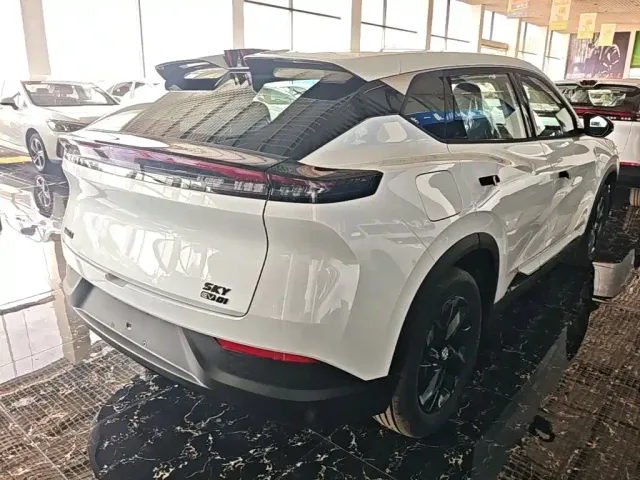 Dongfeng SKY EV01 — Фото автомобиля 4