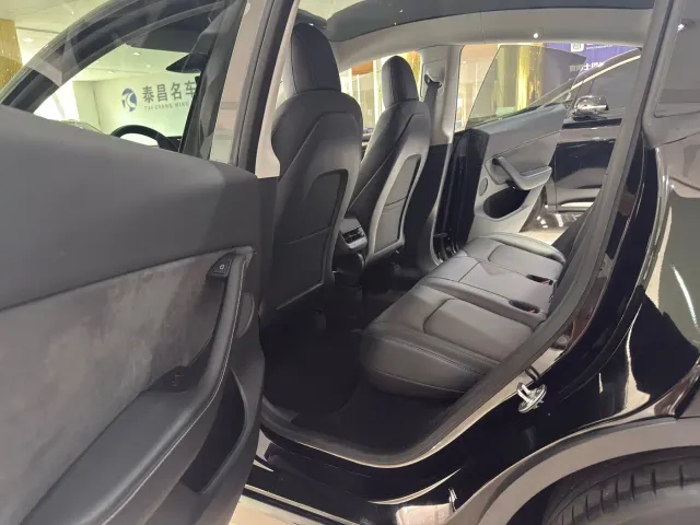 Tesla Model Y — Фото автомобиля 9