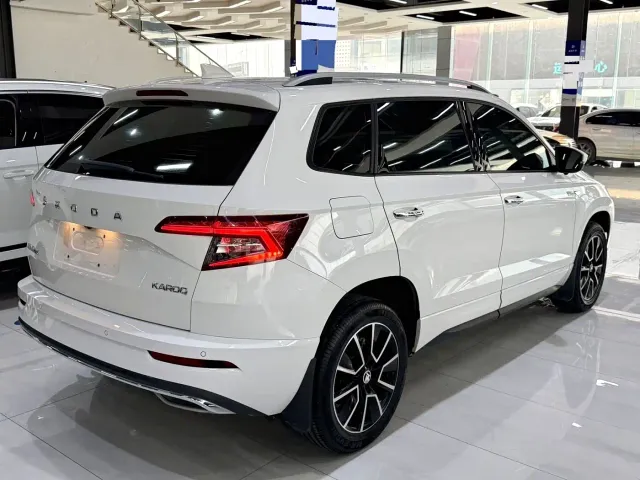 Skoda Karoq — Фото автомобиля 13