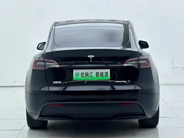Tesla Model Y — Фото автомобиля 5