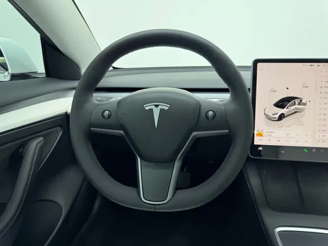 Tesla Model 3 — Фото автомобиля 10