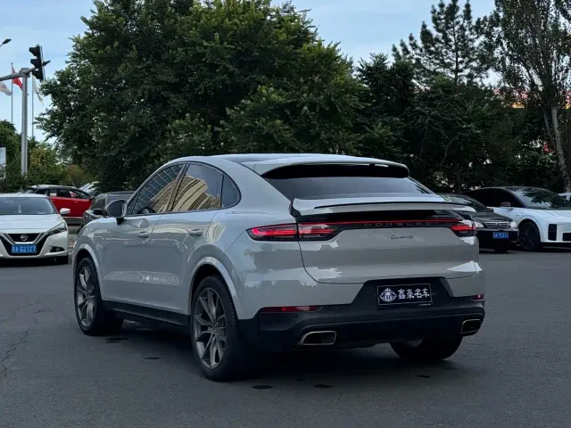 Porsche Cayenne — Фото автомобиля 19
