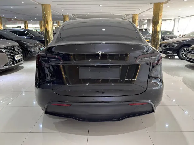Tesla Model Y — Фото автомобиля 5