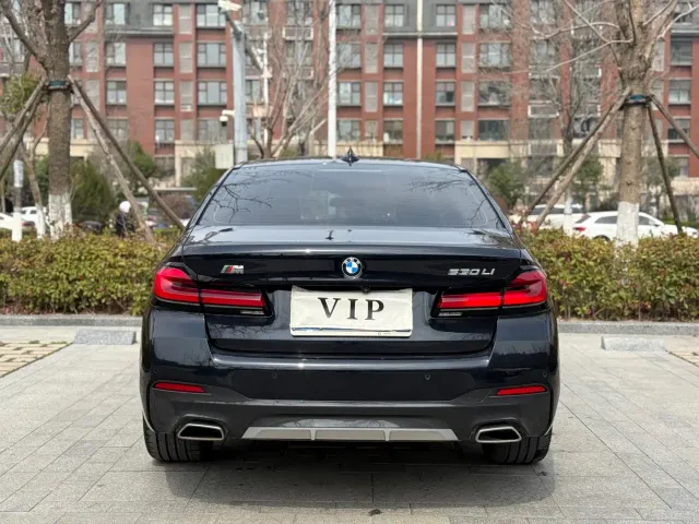 BMW 5 Series — Фото автомобиля 18