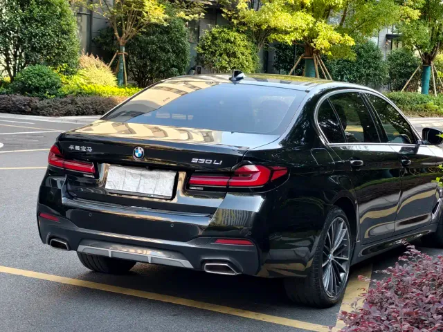BMW 5 Series — Фото автомобиля 5