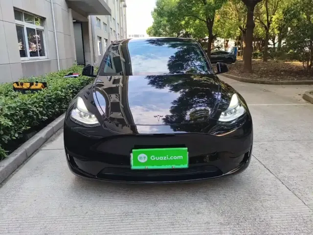 Tesla Model Y — Фото автомобиля 2