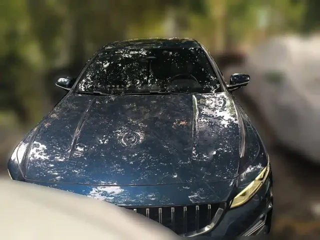 Geely Xingrui — Фото автомобиля 2