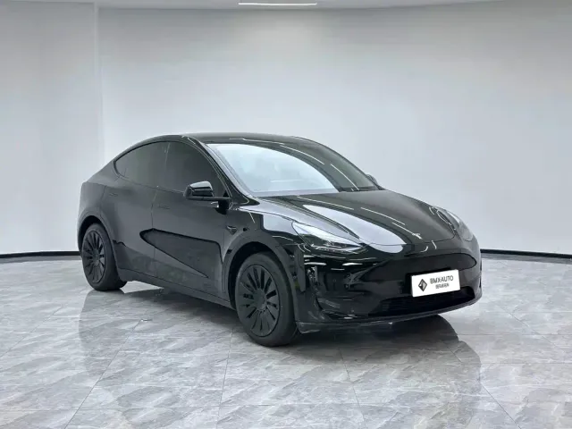 Tesla Model Y — Фото автомобиля 2