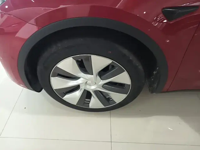 Tesla Model Y — Фото автомобиля 22