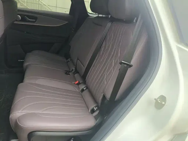 Chery Tiggo 9 — Фото автомобиля 16
