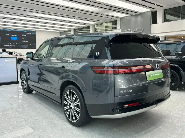 Denza N9 — Фото автомобиля 7