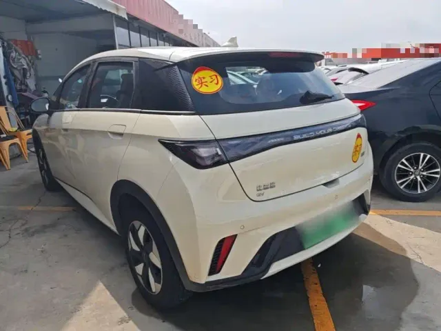 BYD Dolphin — Фото автомобиля 4