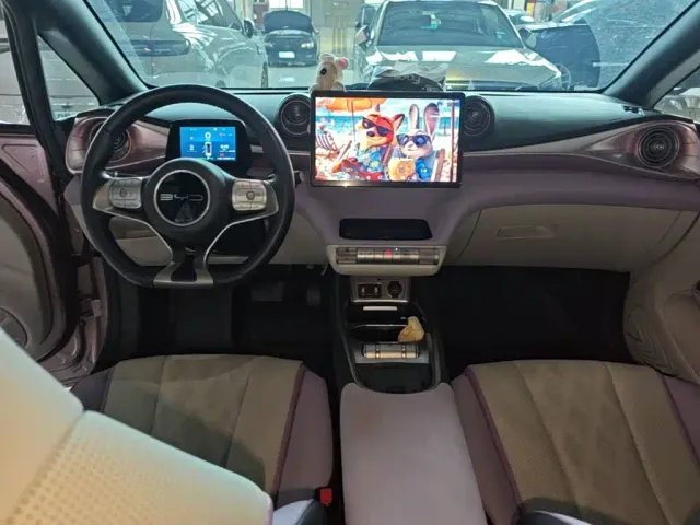 BYD Dolphin — Фото автомобиля 9