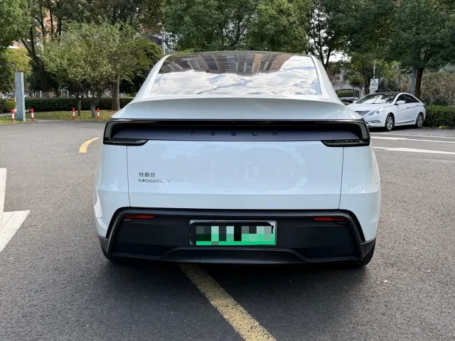 Tesla Model Y — Фото автомобиля 10