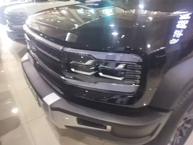 BYD FangChengBao Leopard 5 — Фото автомобиля 23
