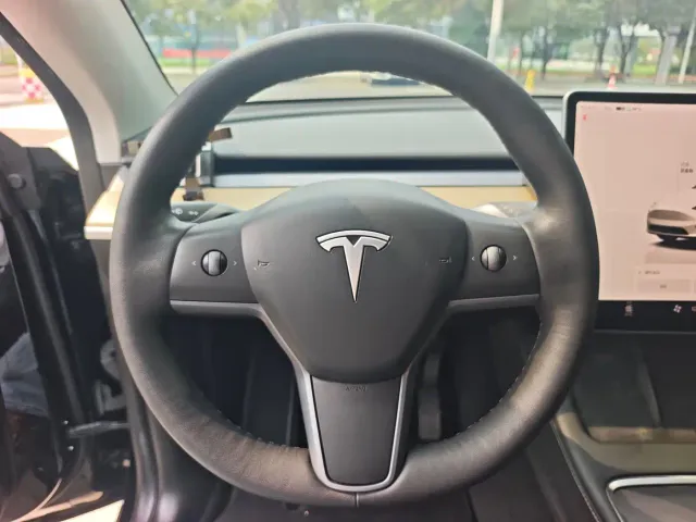 Tesla Model Y — Фото автомобиля 12