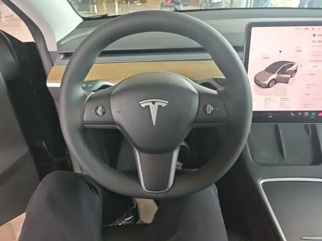 Tesla Model Y — Фото автомобиля 10
