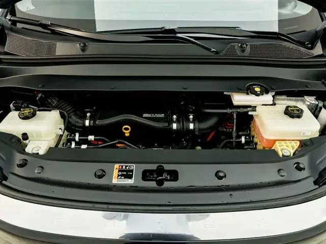 Buick Zhijing Shijia — Фото автомобиля 30