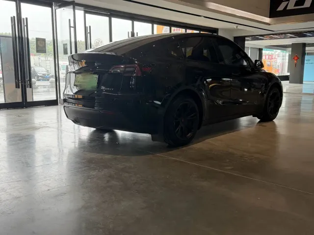 Tesla Model Y — Фото автомобиля 10