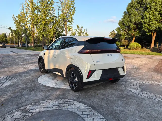 BYD Seagull — Фото автомобиля 6
