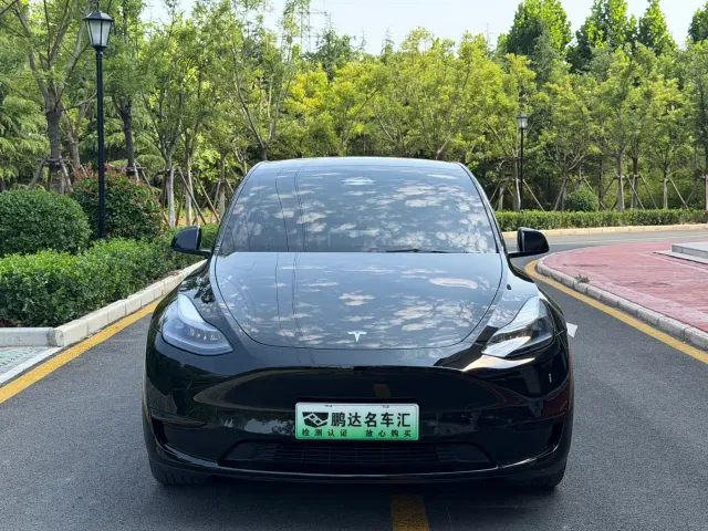 Tesla Model Y — Фото автомобиля 2