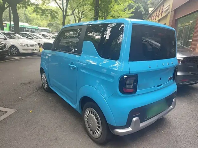 Livan Ruilan Blue Elf — Фото автомобиля 4