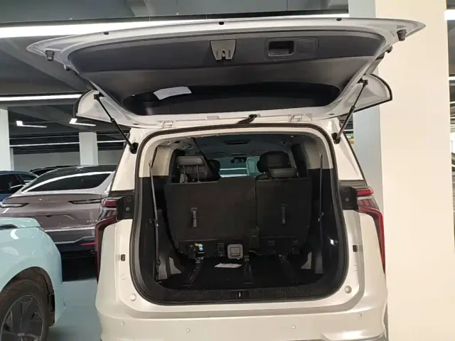Maxus Dajia 9 — Фото автомобиля 18