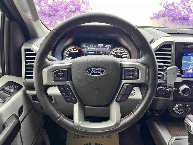 Ford Ford F-150 Raptor 2019 3.5T LTD — Фото автомобиля 15